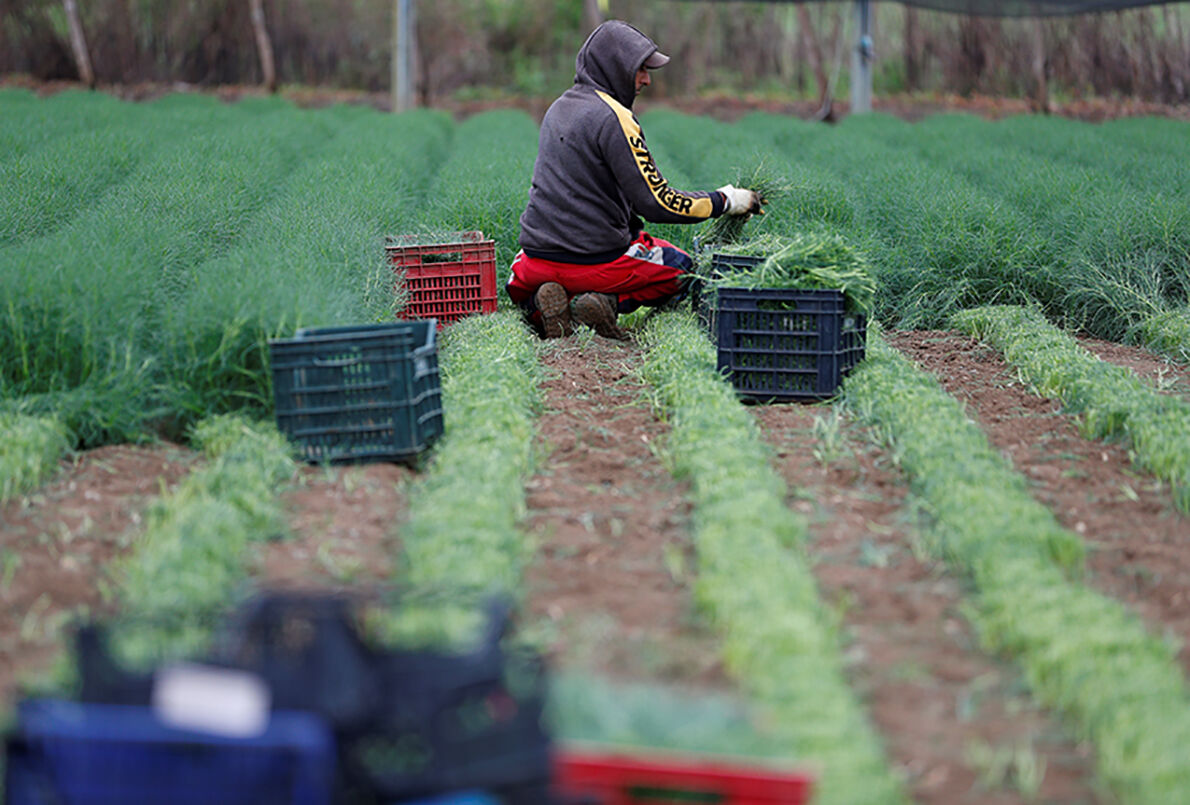 farmwork